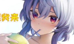 须弥爆料内鬼视频大全集,揭秘背后真相与内幕